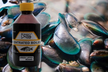 Green Lipped Mussel